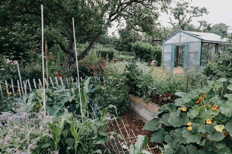 Cómo preparar tu jardín para la primavera en Sierra Verde