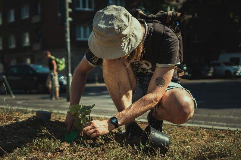 Plantas resistentes para jardines bonitos con poco mantenimiento