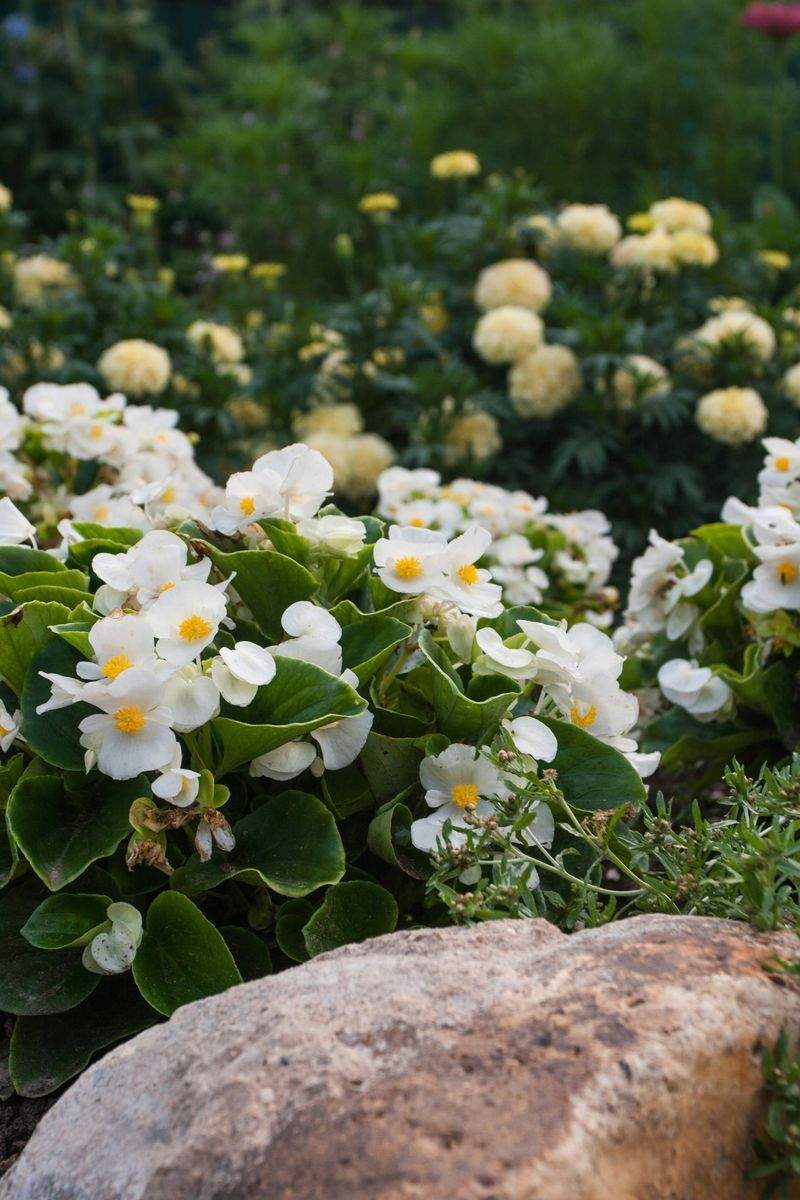 Jardines Sierra Verde 10