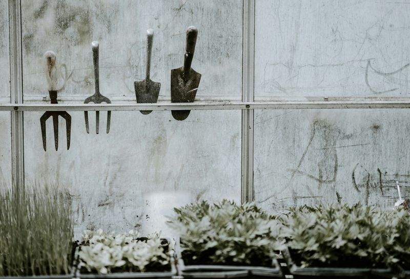 Diseño y planificación de jardines