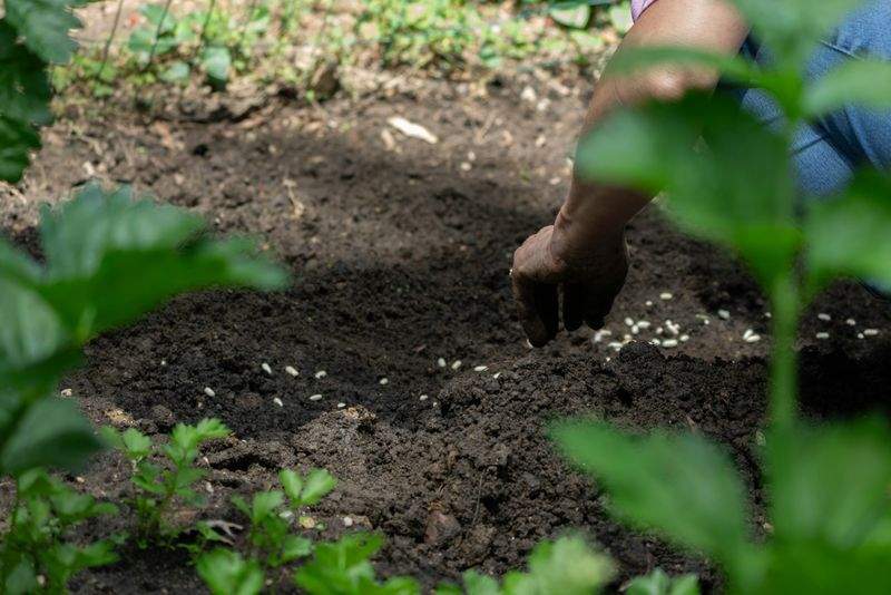 Mantenimiento integral de zonas verdes